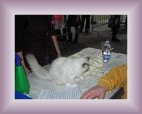 IMG_0002 * 600 x 450 * (280KB)