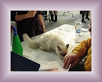 IMG_0003 * 600 x 450 * (299KB)