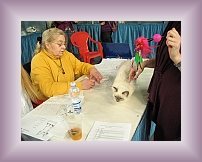 IMG_0006 * 600 x 450 * (315KB)