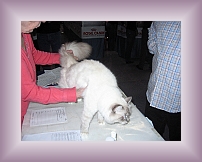 IMG_0010 * 600 x 450 * (281KB)