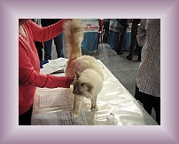 IMG_0011 * 600 x 450 * (307KB)