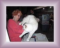 IMG_0012 * 600 x 450 * (276KB)