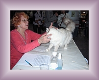IMG_0013 * 600 x 450 * (285KB)
