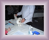 IMG_0015 * 600 x 450 * (308KB)