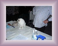 IMG_0016 * 600 x 450 * (299KB)