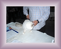 IMG_0018 * 600 x 450 * (290KB)