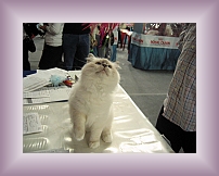 IMG_0027 * 600 x 450 * (289KB)