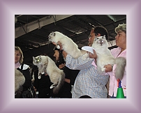 IMG_0040 * 600 x 450 * (310KB)