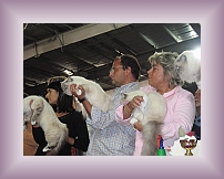 IMG_0042 * 600 x 450 * (314KB)