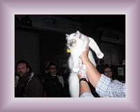 IMG_0063 * 600 x 450 * (242KB)