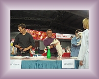 IMG_0072 * 600 x 450 * (324KB)