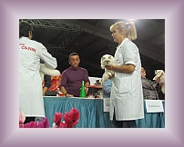 IMG_0075 * 600 x 450 * (303KB)