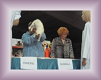 IMG_0076 * 600 x 443 * (294KB)