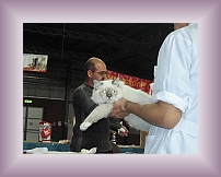 IMG_0084 * 600 x 450 * (275KB)