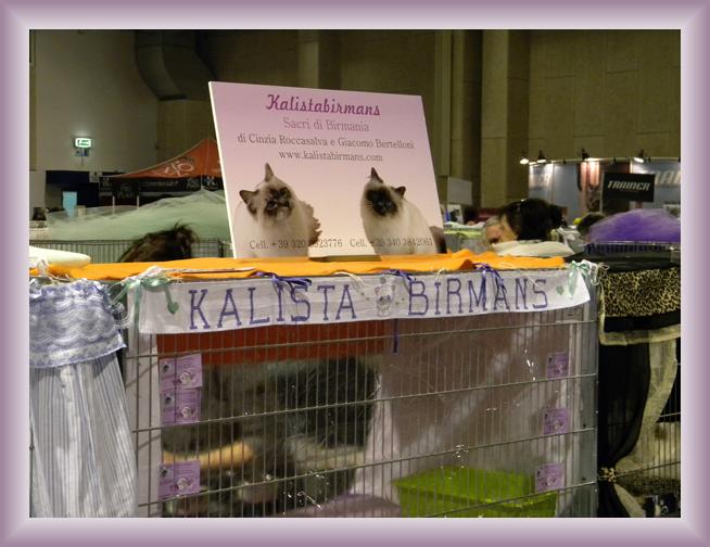Sei già all'ultima foto