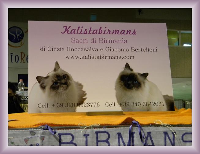 Foto successiva