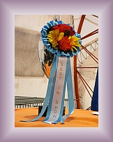 DSCN1698 * 600 x 800 * (355KB)