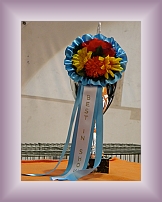 DSCN1700 * 450 x 600 * (196KB)