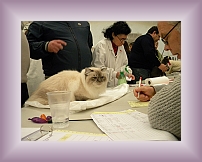 DSCN1741 * 600 x 450 * (207KB)