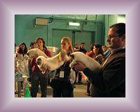 IMG_2975 * 600 x 450 * (212KB)