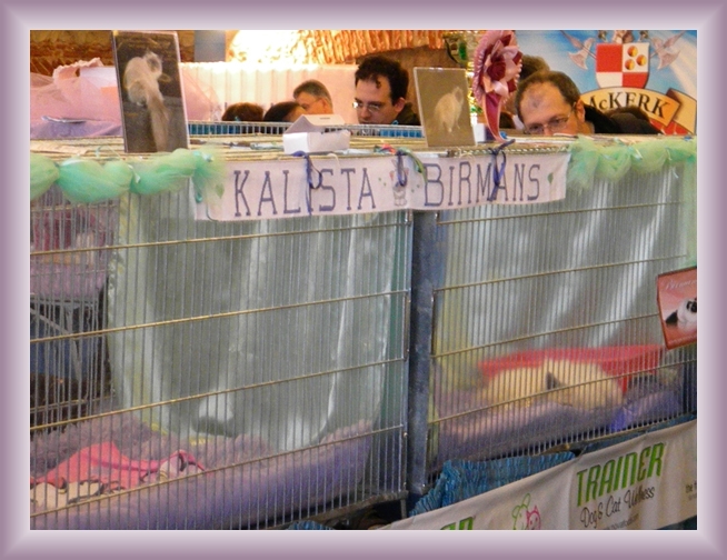 Foto successiva