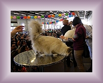 DSCN0512 * 600 x 450 * (254KB)