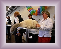 DSCN0531 * 600 x 450 * (218KB)