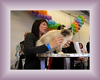 DSCN0570 * 600 x 450 * (225KB)