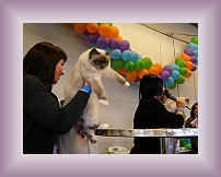 DSCN0572 * 600 x 450 * (217KB)