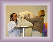 DSCN0630 * 600 x 450 * (228KB)
