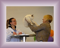 DSCN0631 * 600 x 450 * (222KB)