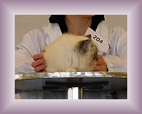 DSCN0633 * 600 x 450 * (182KB)