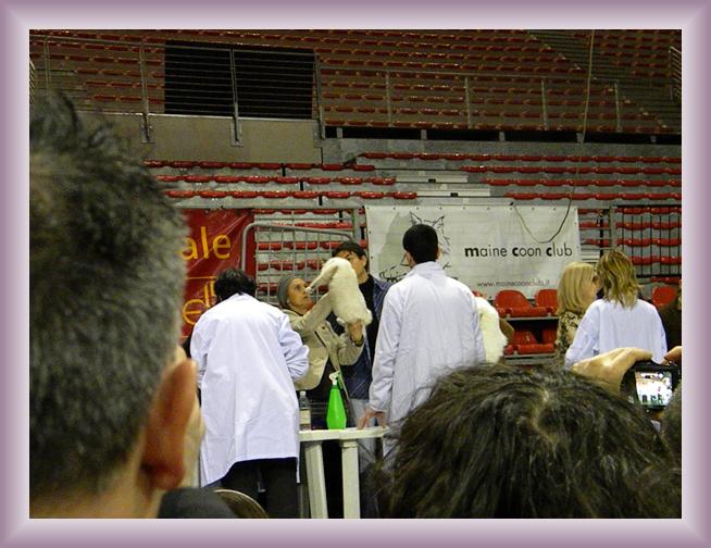 Foto successiva
