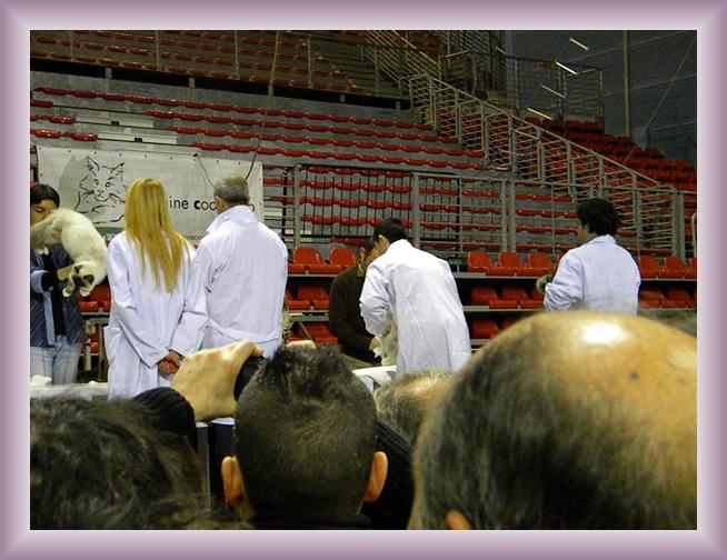 Foto successiva