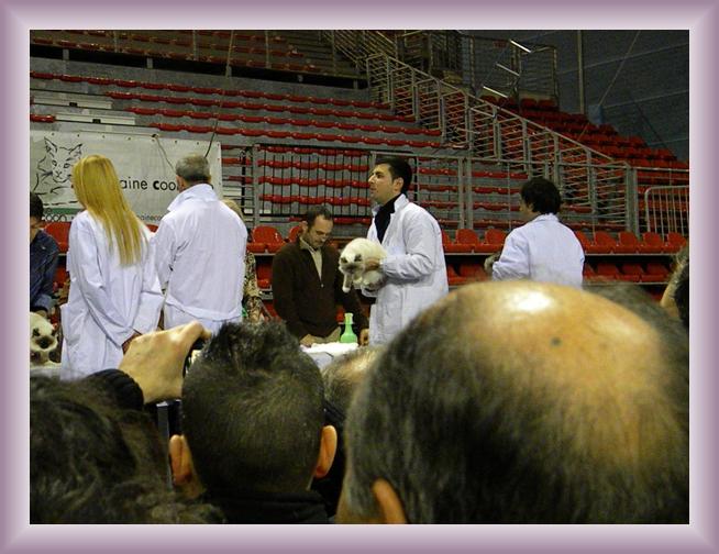 Foto successiva