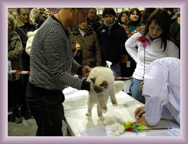 Foto successiva