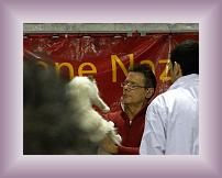 DSCN0470 * 600 x 450 * (287KB)