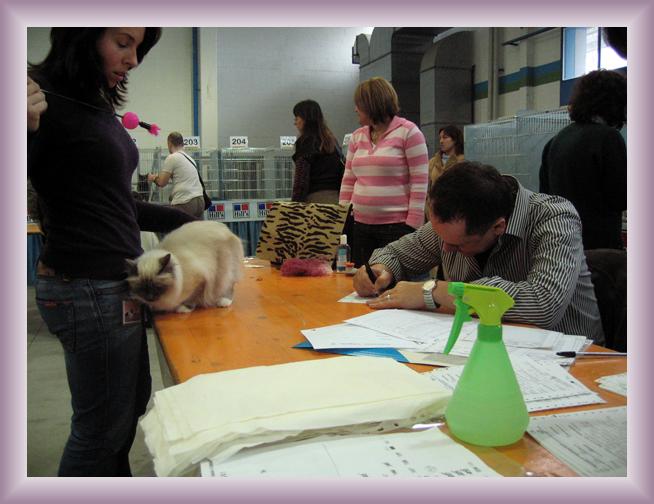 Foto successiva