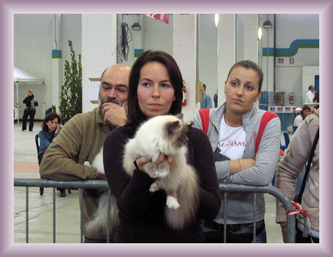 Foto successiva