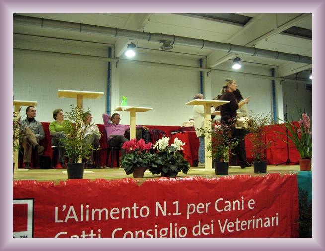 Foto successiva