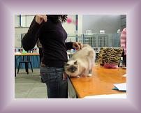 IMG_3123 * 600 x 450 * (309KB)
