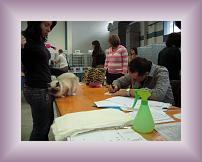 IMG_3124 * 600 x 450 * (302KB)