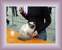 IMG_3126 * 600 x 450 * (310KB)