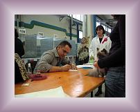 IMG_3128 * 600 x 450 * (321KB)