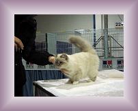 IMG_3142 * 600 x 450 * (299KB)