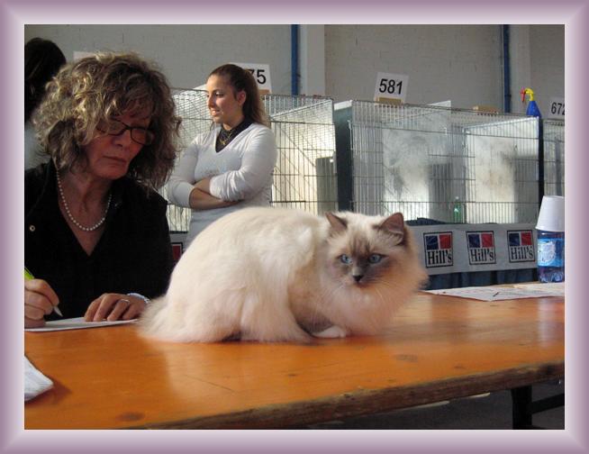 Foto successiva