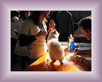 IMG_3165 * 600 x 450 * (238KB)