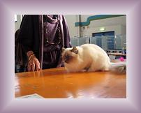 IMG_3168 * 600 x 450 * (304KB)
