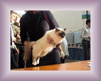 IMG_3180 * 600 x 450 * (306KB)