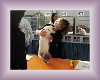 IMG_3182 * 600 x 450 * (326KB)